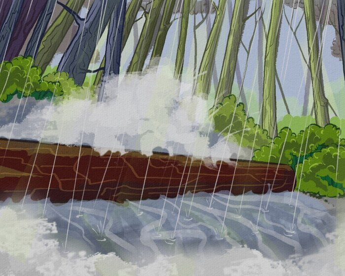   , , , , , , , Digital,  , ,  ,  ,  