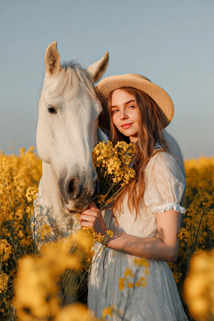 Neuro Art �Sunset in a rapeseed field� 