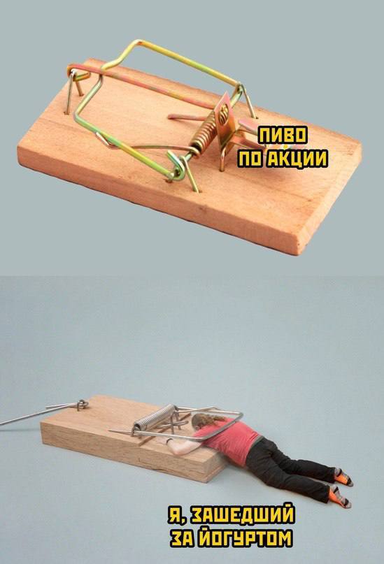  ,      ,   , , , , , 