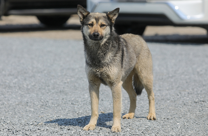 ������ �� ��������� � ������������ ������ ��������� ����� ����� � ��������