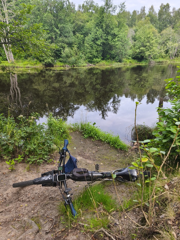 �������� ����� �� ���� ׸����