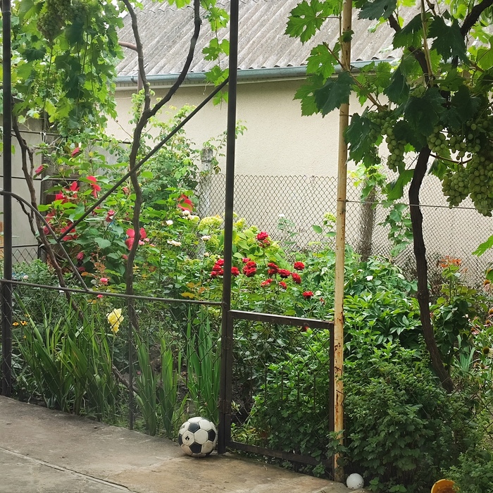 Улучшить свою жизнь