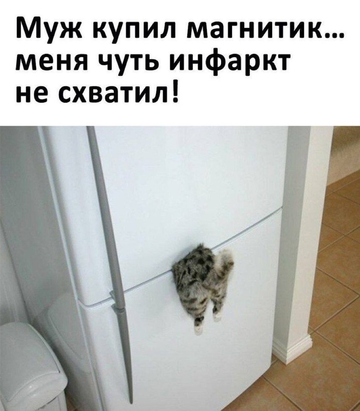 ����� ����� � ���� �������