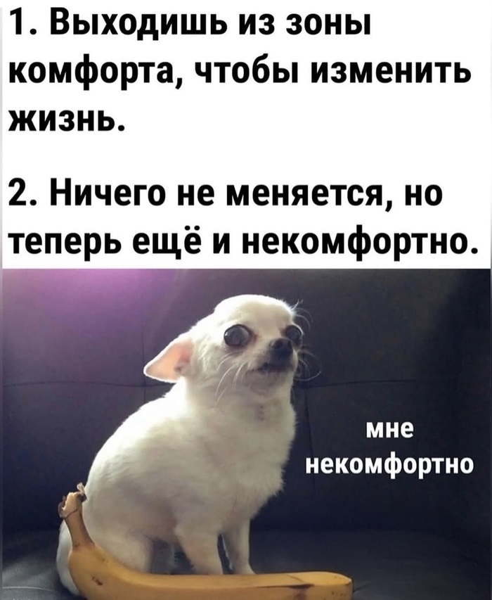      ,  , ,  ,   , 