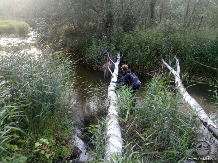 Фото реки, служившей границей участка поисков