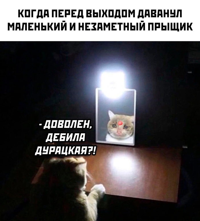        ,   ,   , , , , , , , 