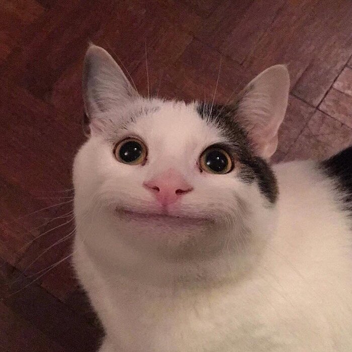 Просто КДПВ