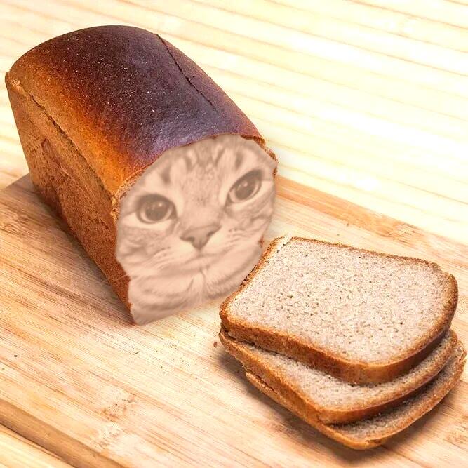   ... ? ,  , , , 