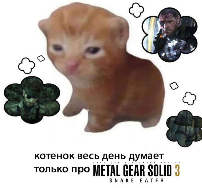     ? 9    Steam,  , , RPG,   , Metal Gear, Snake Eater, Xbox, Gears of War, Madden NFL, , Demon Slayer (), Nintendo, , ,  , ,  