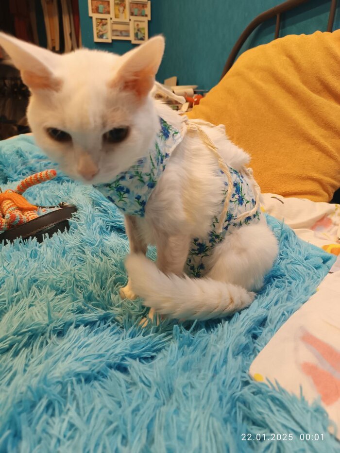 Вот такой малышечкой она была.