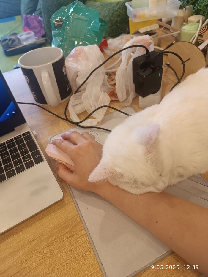 Вот так я работала.