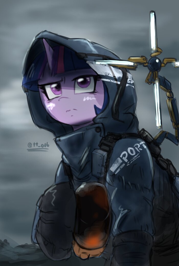 Pony Stranding My Little Pony, Death Stranding, Rarity, Twilight Sparkle, , 