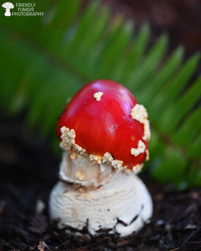   , , ,  ,  , 