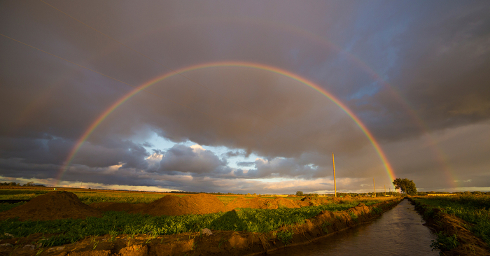 Rainbow