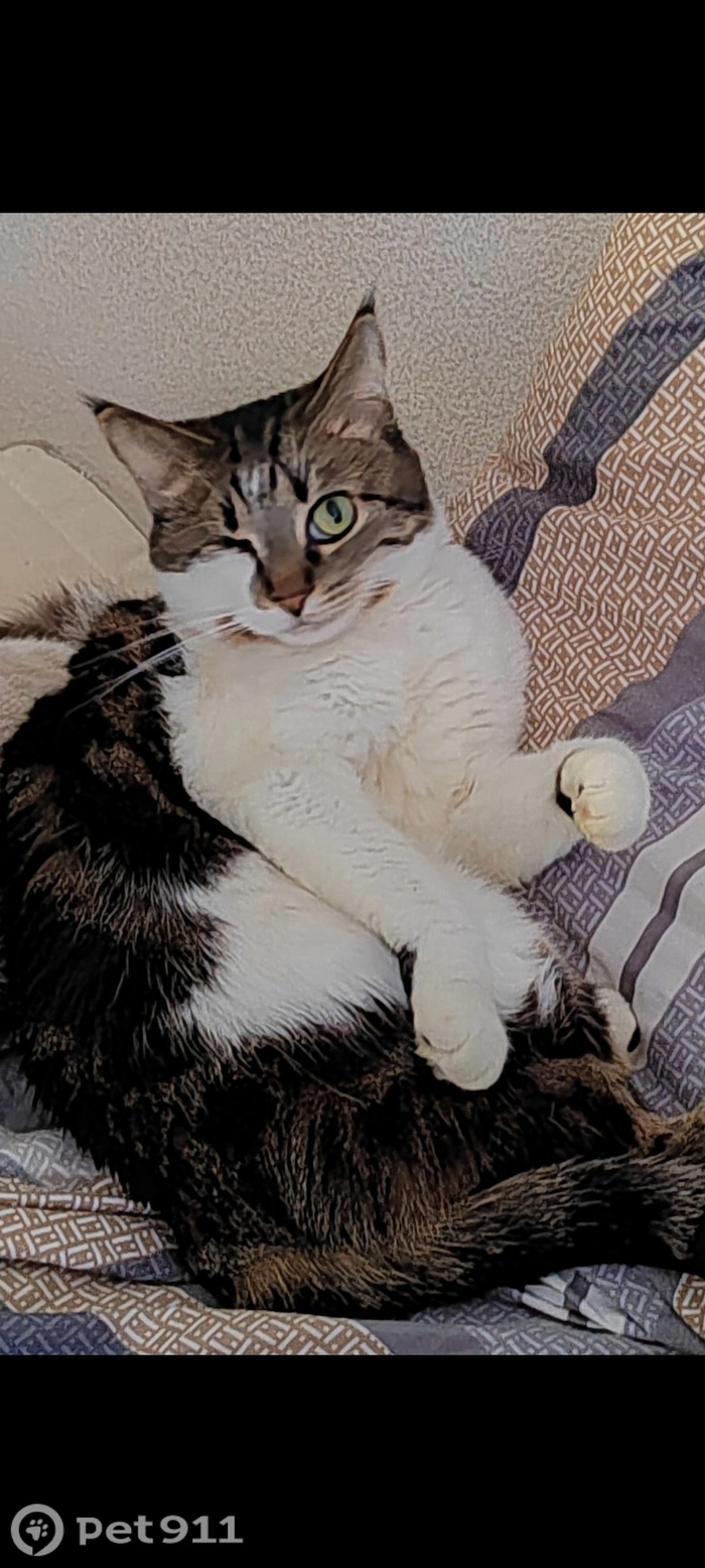 ���������� �����!