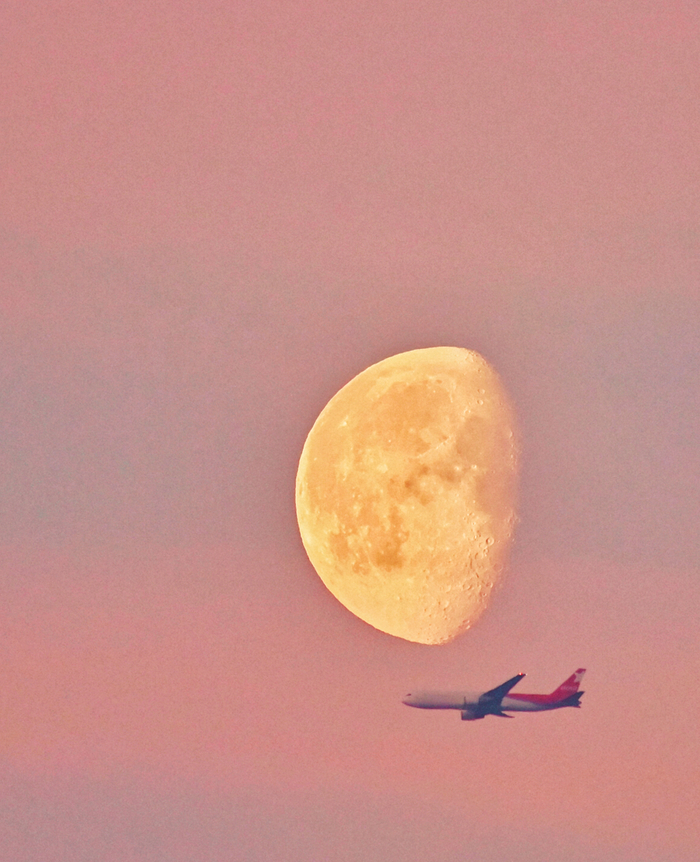 Красавчик Nordwind airlines на рассвете