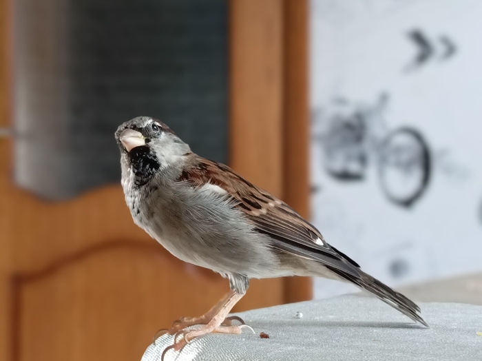 ����� �����, �����... �������� � ������� �� ������ ����.