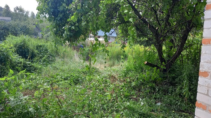 Захотели стать дачниками. Может стареем?) Дача, Делюсь радостью, Мечта, Длиннопост