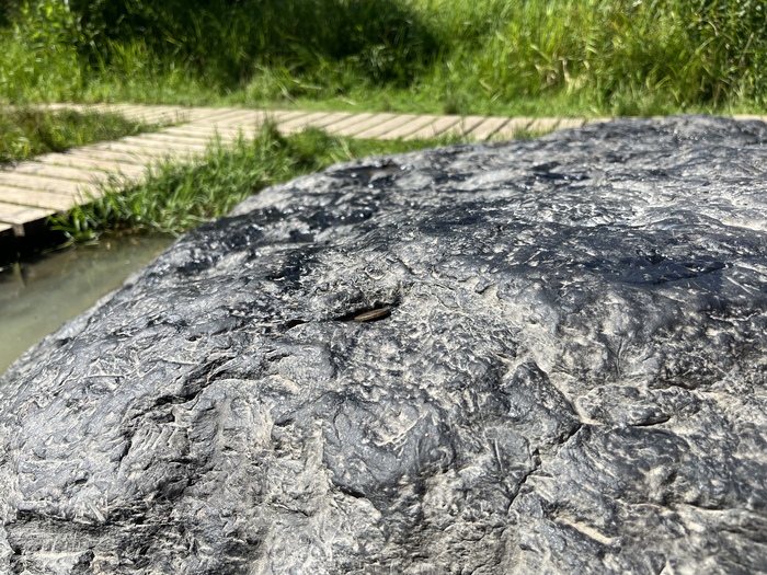 Он ведь нихрена не синий, да?