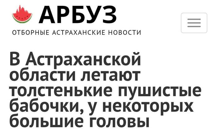 Астраханцы?...