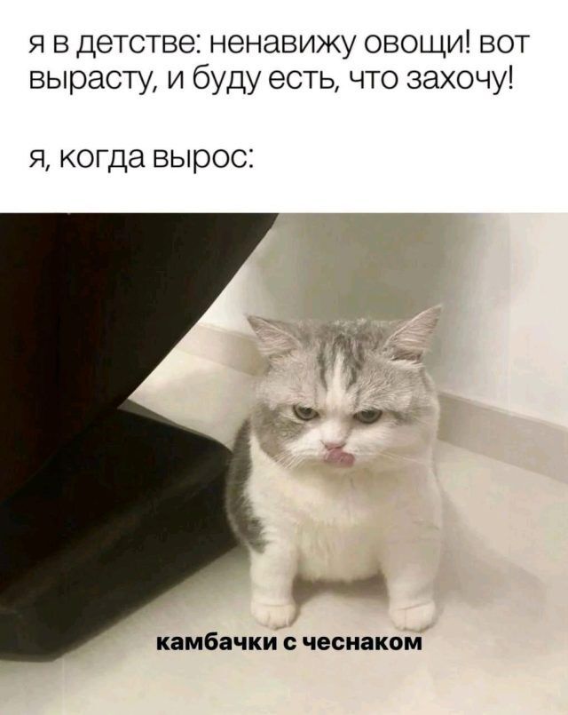   ,   , , , ,  