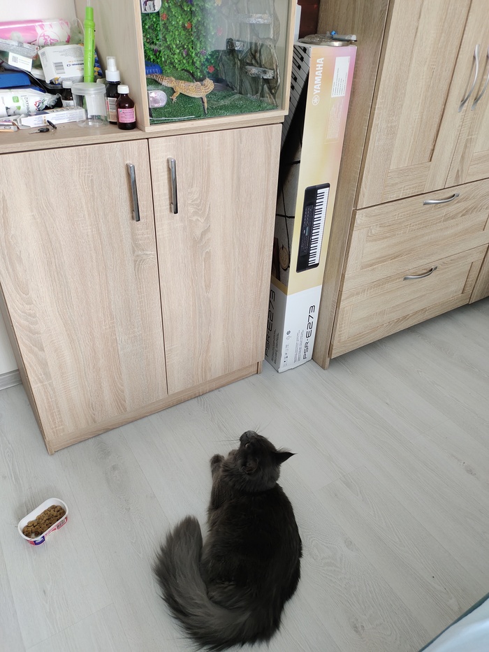 Гэндальф Серый радуется возвращению интересного экспоната