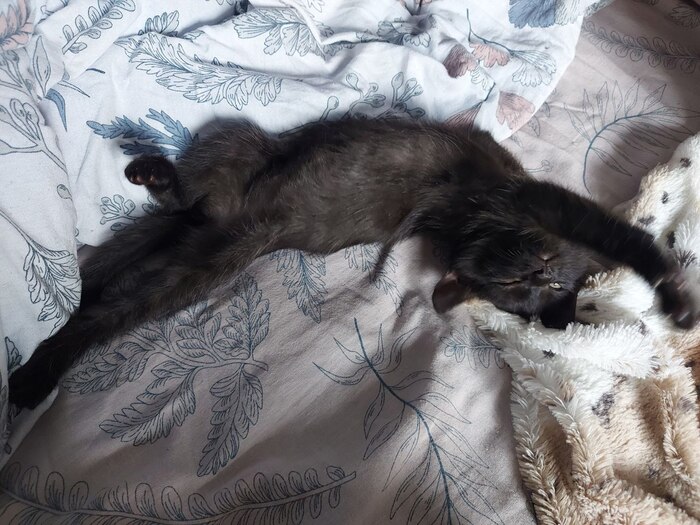 ������ ����������� ��������� ������� ������ ����!