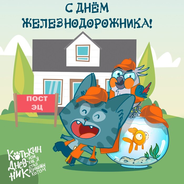   !!! ,  ,  , ,  