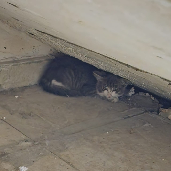     ?   , ,  , , ,  ,  , ,  , 