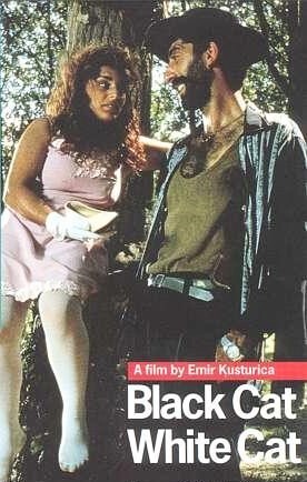 "Черная кошка, белый кот"