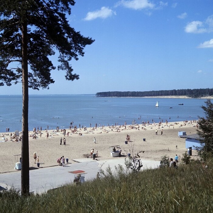 ���� �������������, 1971 ���.