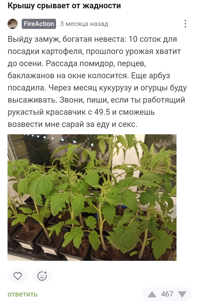     , , , , , , , ,   , ,   