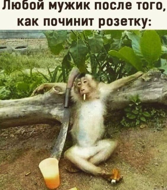     , ,   , , , 