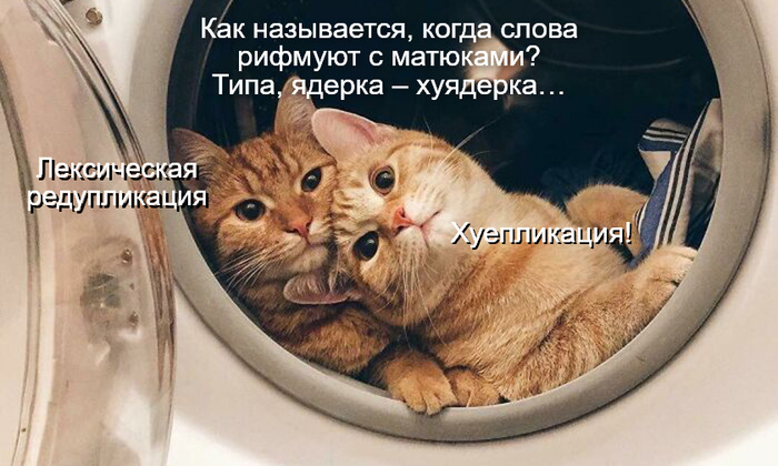  )