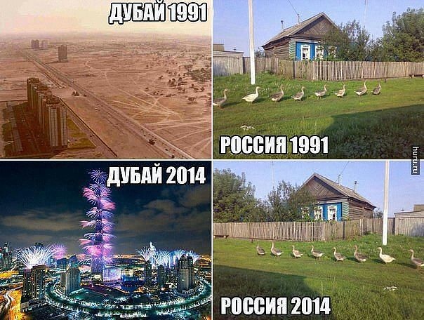       ,   , , Telegram (),   , , , , , 