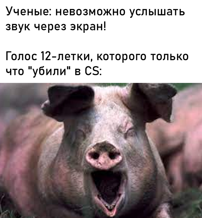   ,   , , 