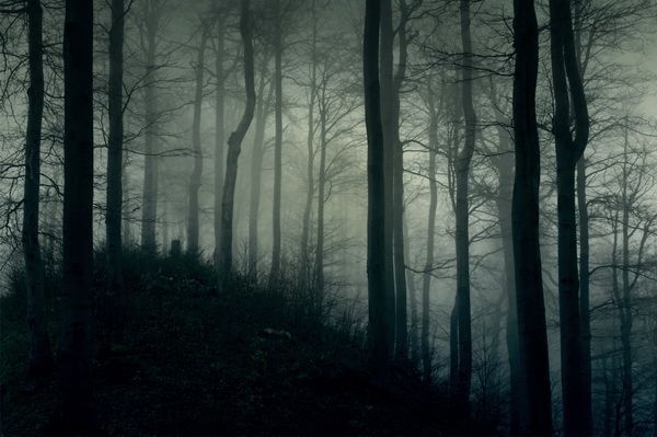  .  2.  , , , , , , CreepyStory