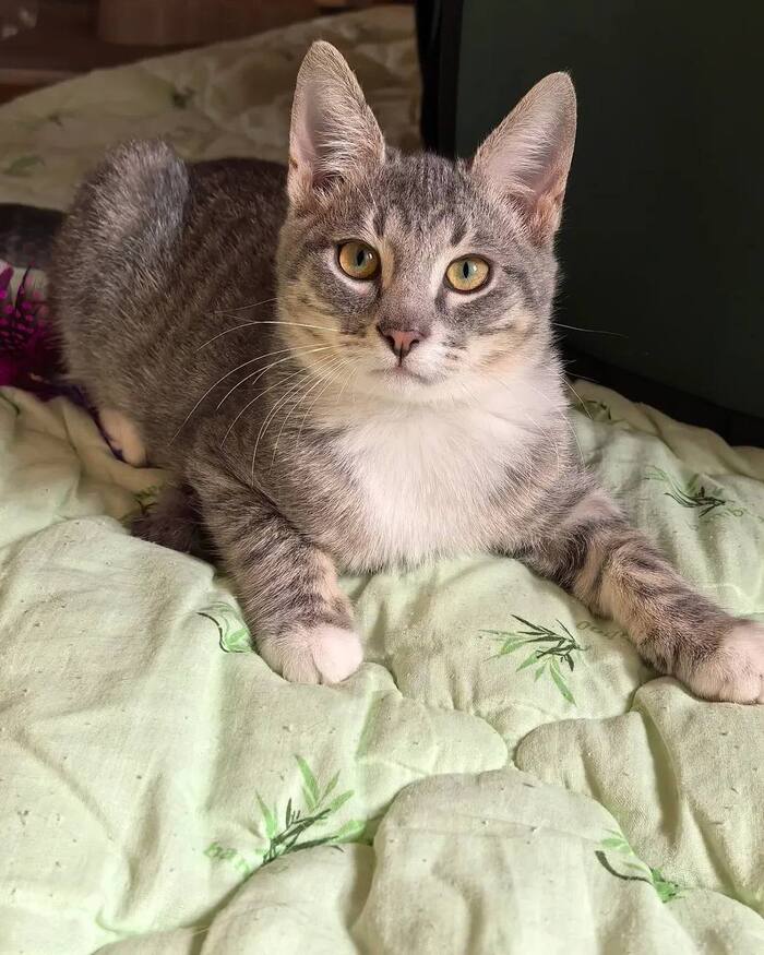 Самый лучший Сержик !