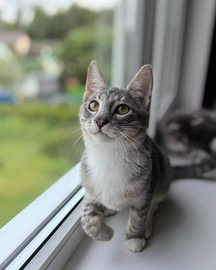 Самый лучший Сержик !