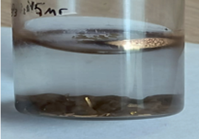 Крупная частица плывущего золота, сформировавшаяся на границе раздела фаз жидкость – газ. Рядом с крупной частицей видны многочисленные частицы полупрозрачного плывущего золота