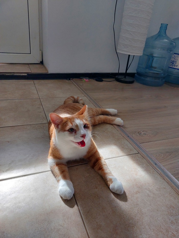     ,   ? , , , 