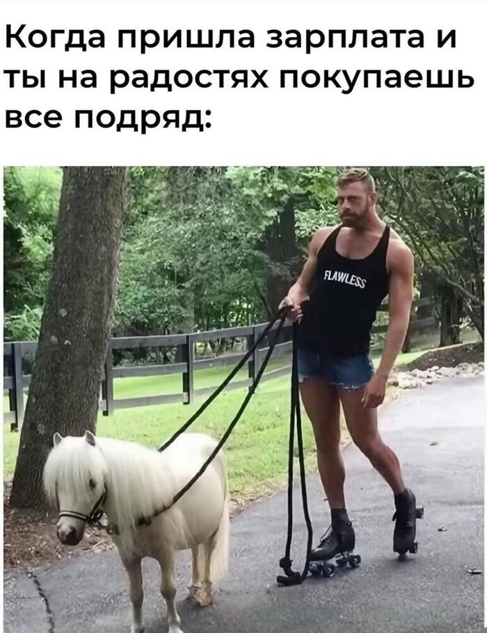    Telegram (),   , 