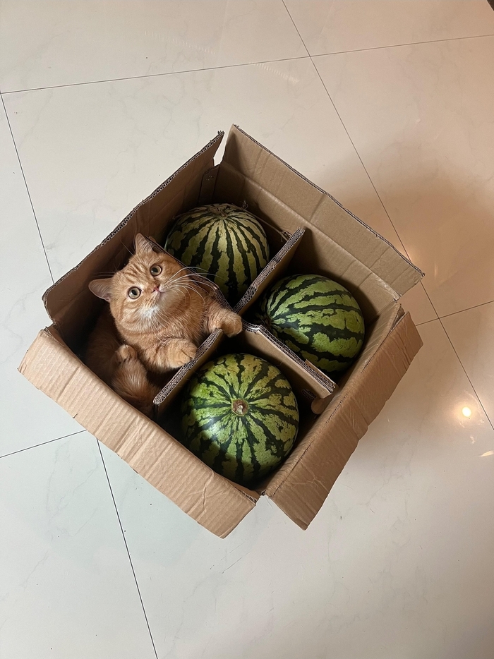   , , , , 