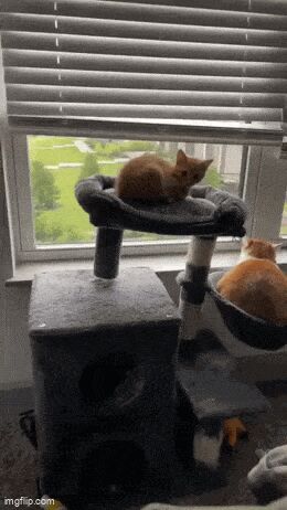   , , , 