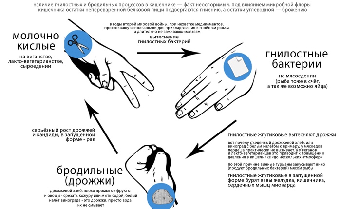 Камень, ножницы, бумага на простом языке круговорот в теле живущих