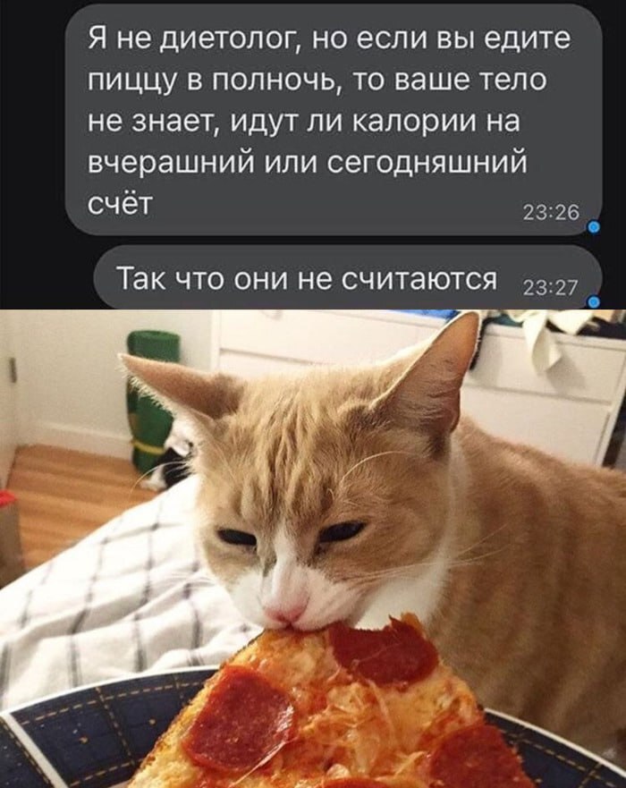    :  FatSecret  MyFitnessPal , , ,  , , , Telegram, , , 