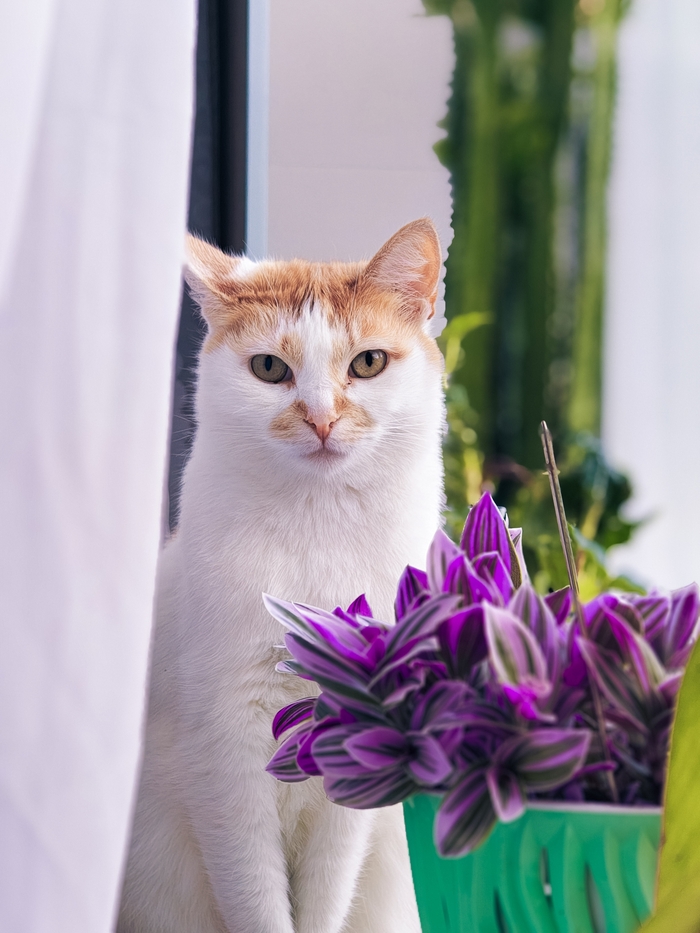 С цветочками