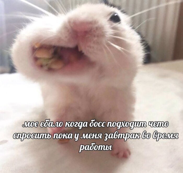   ,   