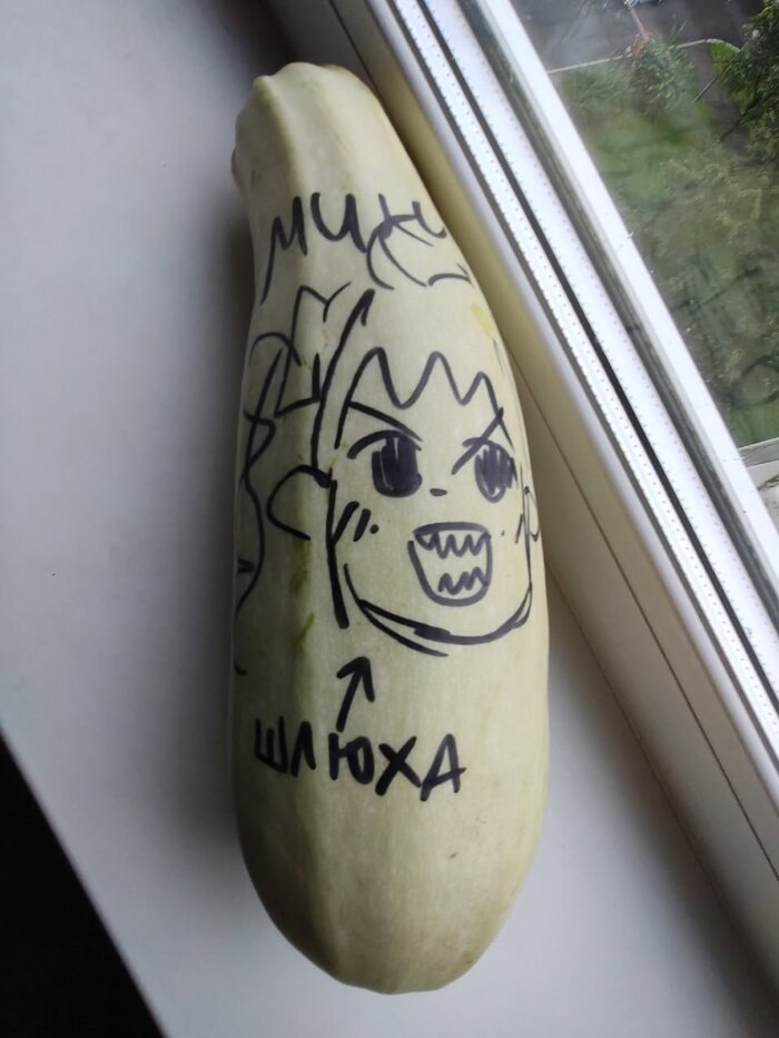 Парень заказал пару аниме-фигурок, а ему прислали... кабачок Юмор, Кабачок, Аниме, Переписка, Посылка, Длиннопост