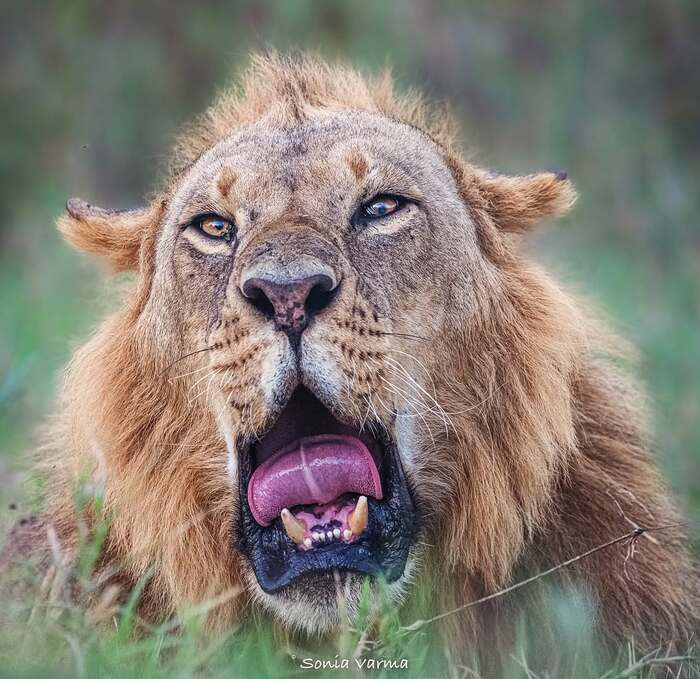 Только что проснулся